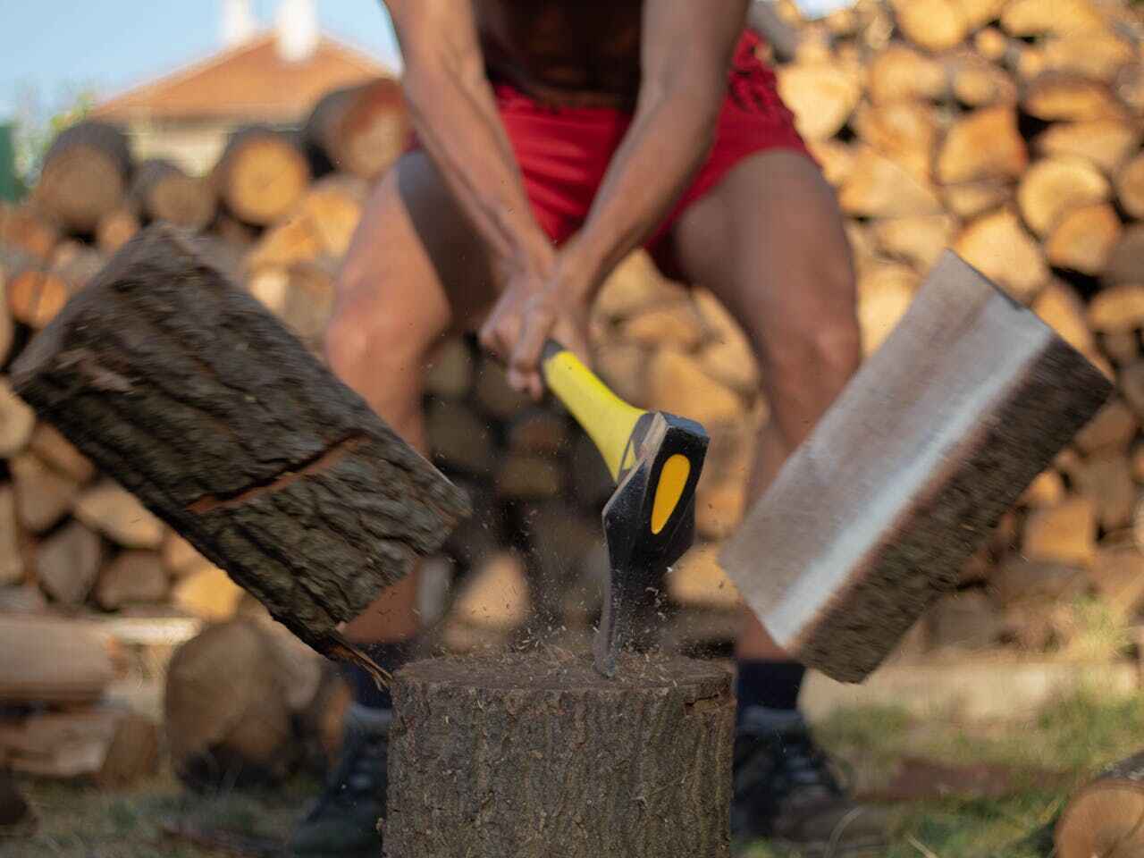 Best Tree Branch Trimming  in Hawkinsville, GA